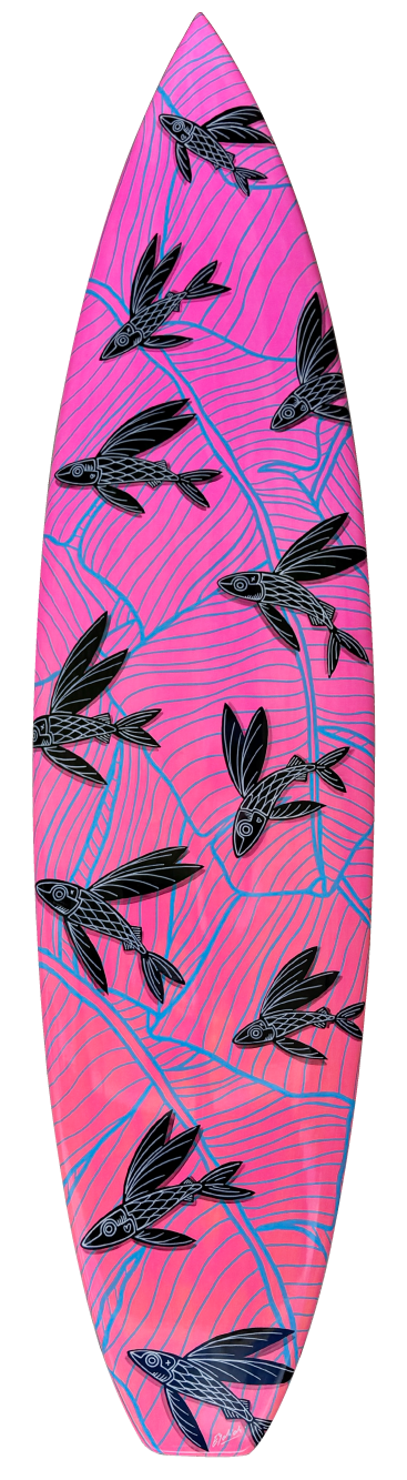 FSOahu3
